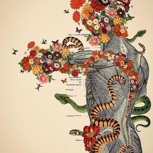 Meet your Posher, Jordana